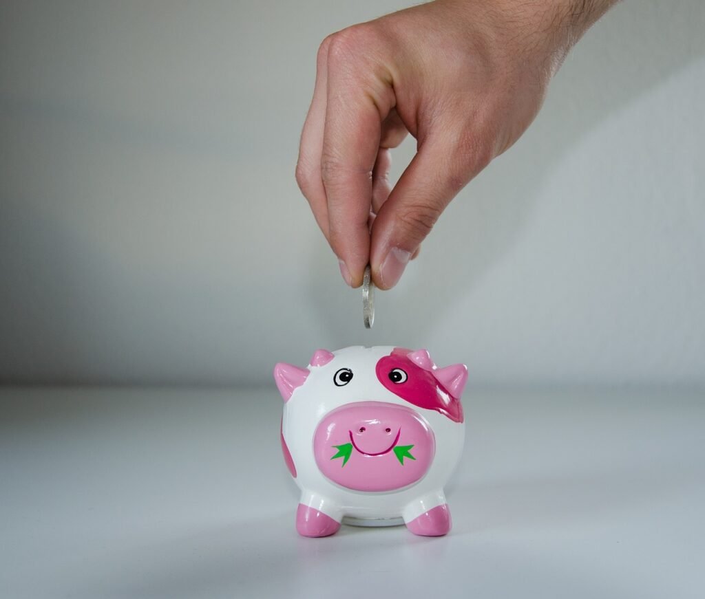 save up, piggy bank, money-1720971.jpg